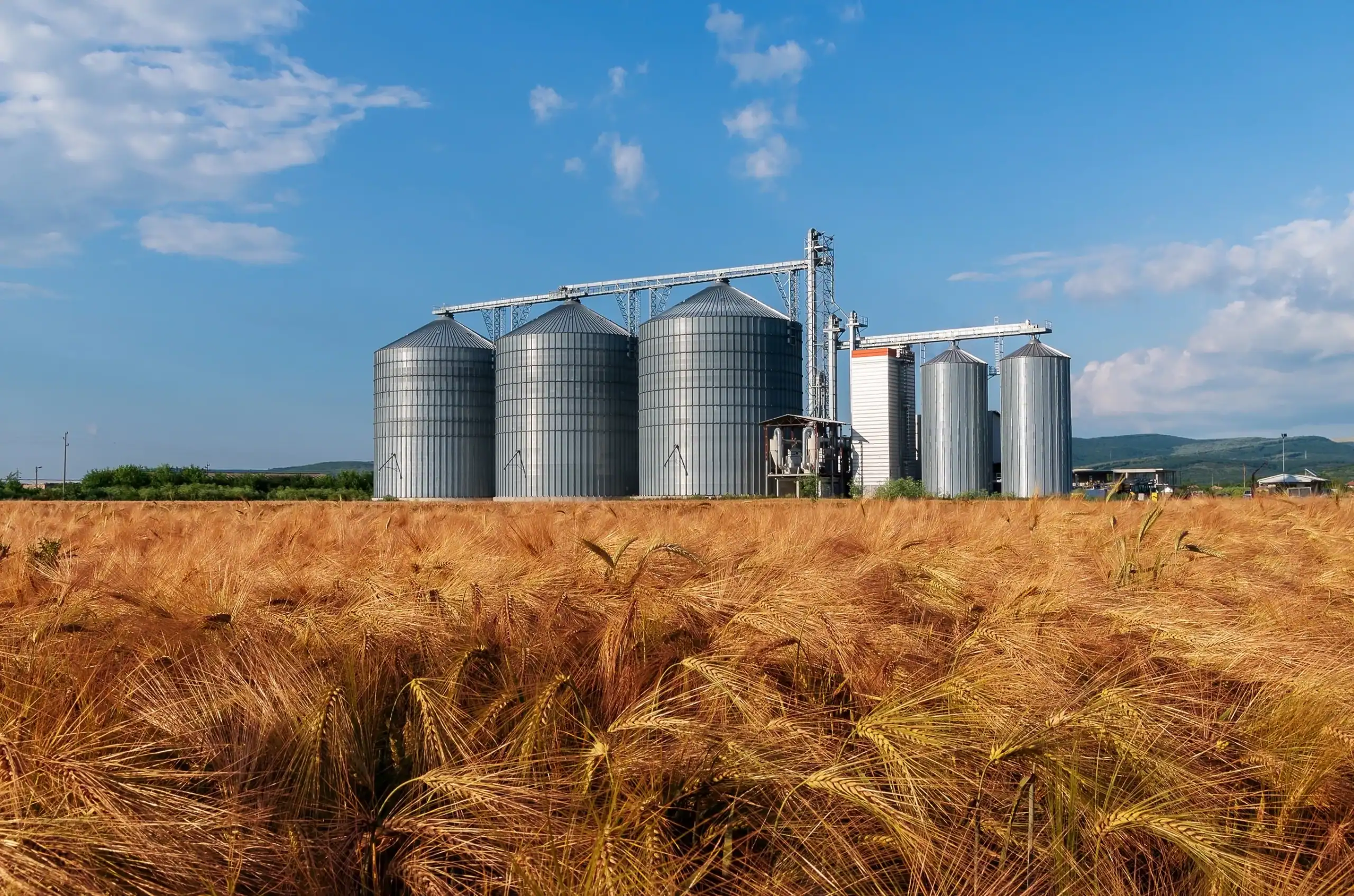 barley-field-with-silo